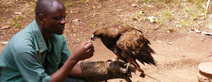 escursioni in kenya