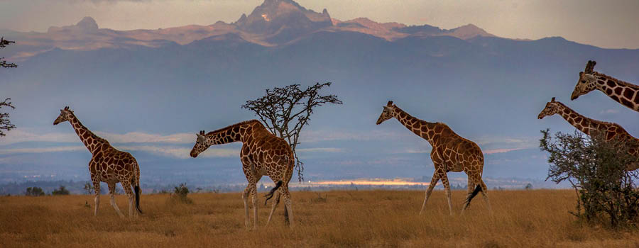 escursioni in kenya